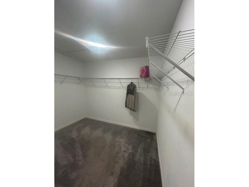 22164 N Calisto Way N Land O Lakes FL 34637 TB8526786 image16