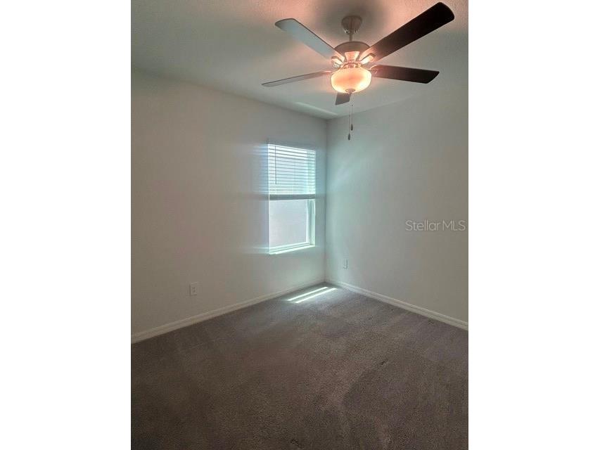 22164 N Calisto Way N Land O Lakes FL 34637 TB8526786 image24