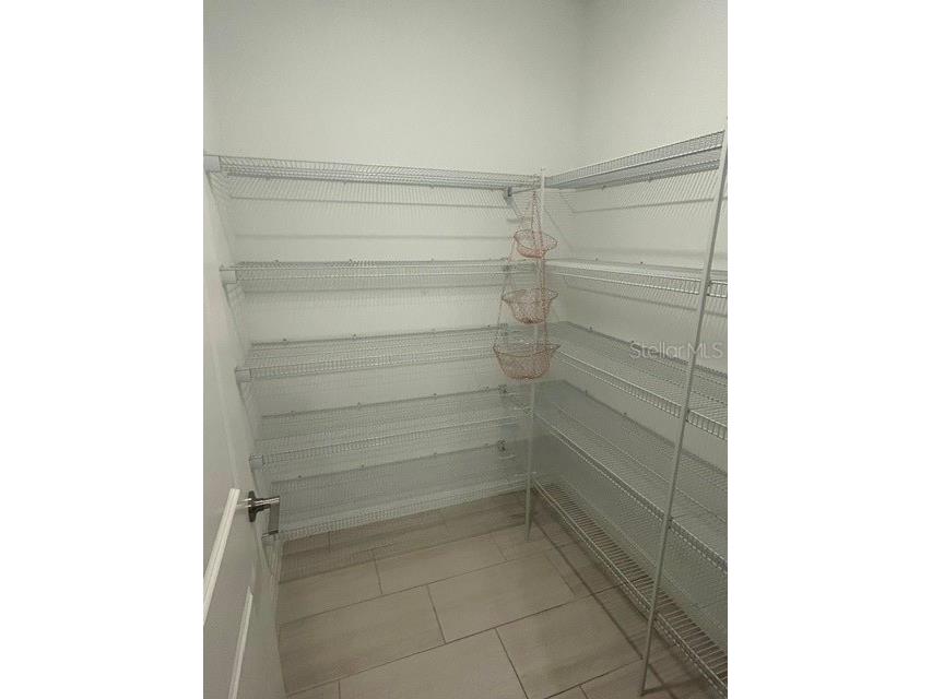 22164 N Calisto Way N Land O Lakes FL 34637 TB8526786 image29