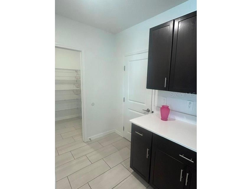22164 N Calisto Way N Land O Lakes FL 34637 TB8526786 image9