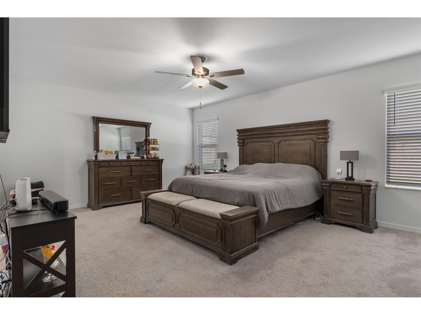 22169 Calisto Way Land O Lakes FL 34637 TB8470922 image20