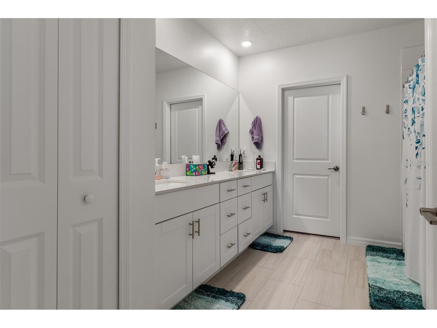 22169 Calisto Way Land O Lakes FL 34637 TB8470922 image22