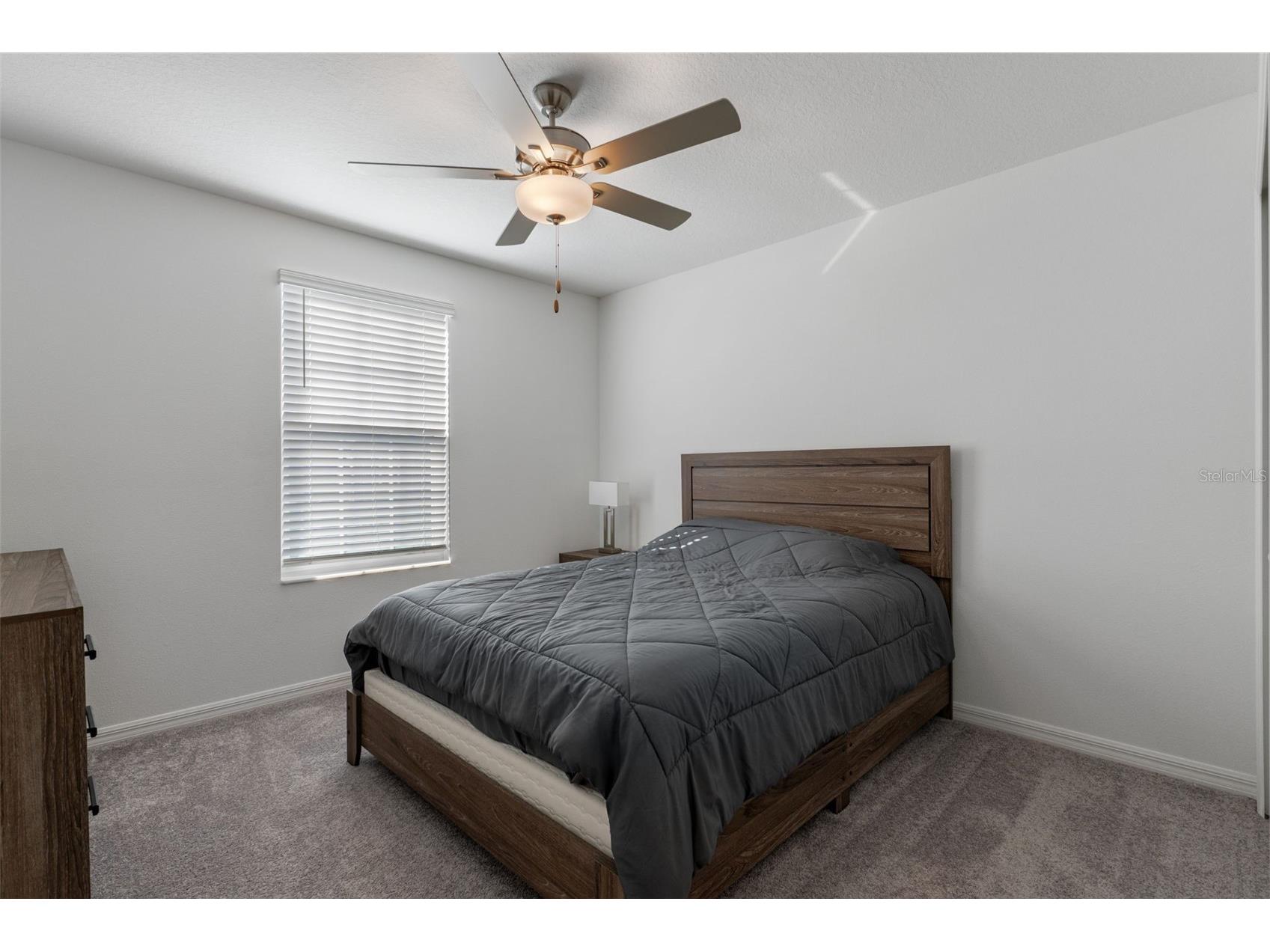 22169 Calisto Way Land O Lakes FL 34637 TB8470922 image39