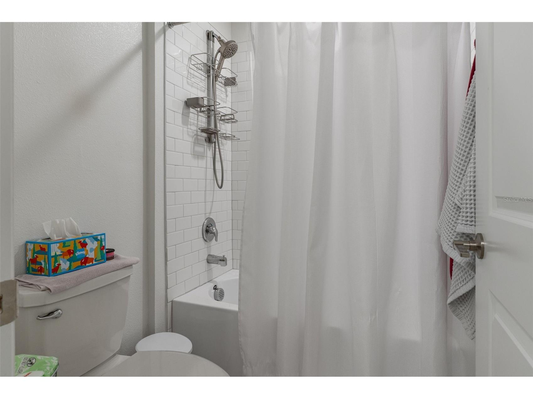 22169 Calisto Way Land O Lakes FL 34637 TB8470922 image42