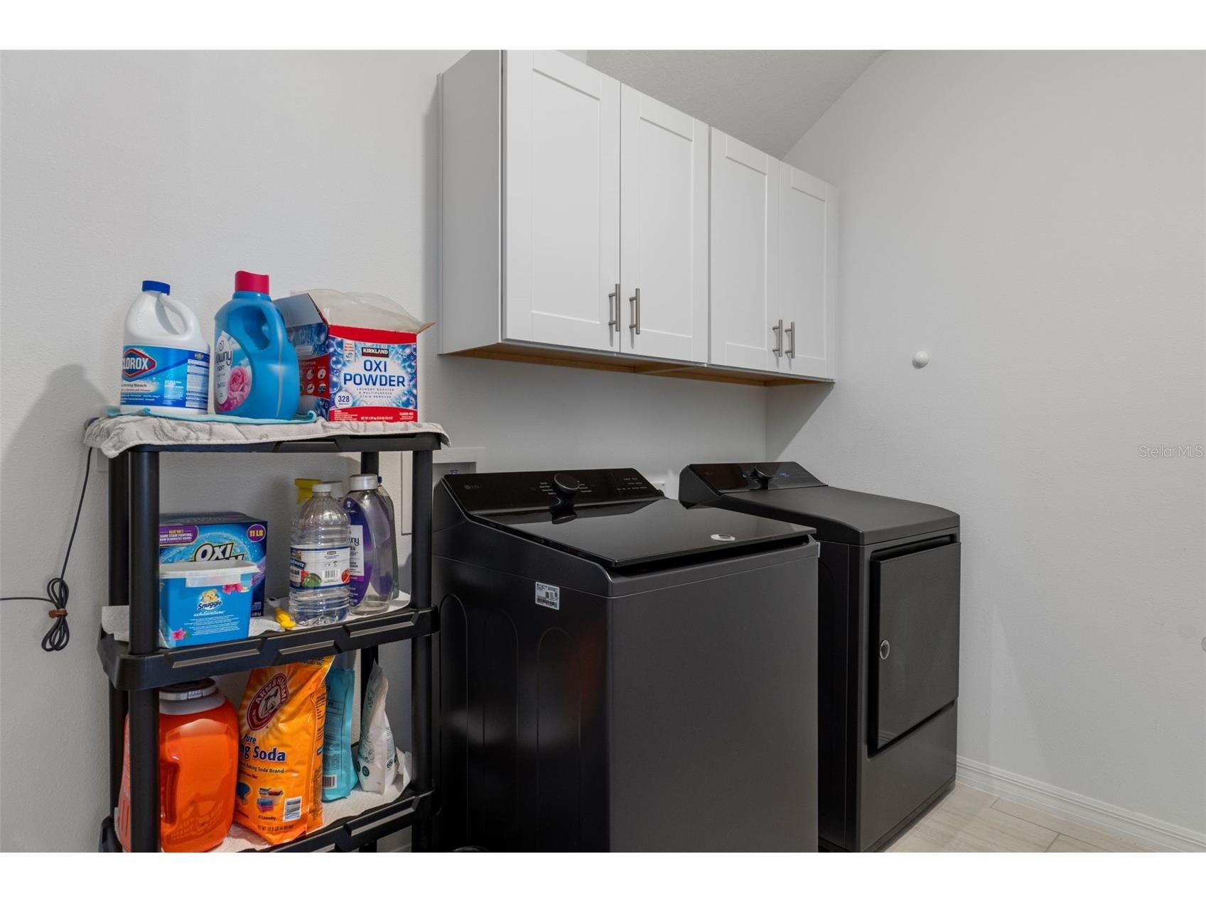 22169 Calisto Way Land O Lakes FL 34637 TB8470922 image43