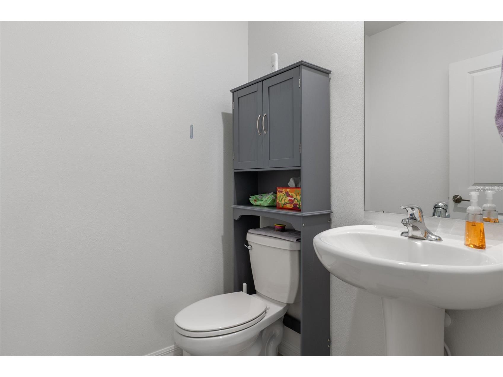 22169 Calisto Way Land O Lakes FL 34637 TB8470922 image44