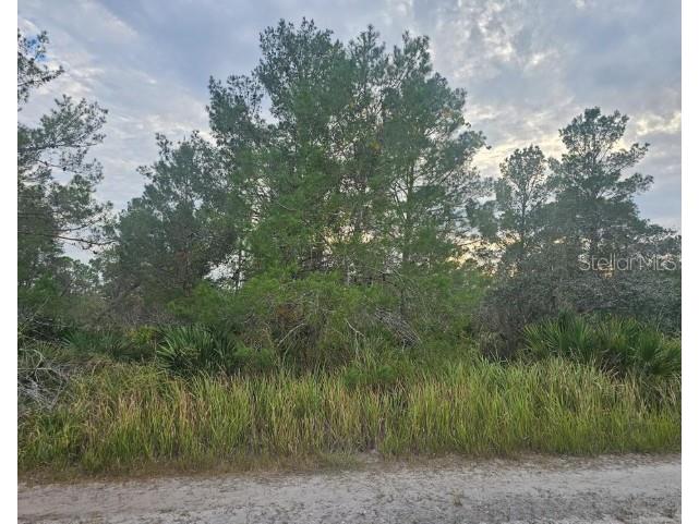 2217 Algonquin Drive Sebring FL 33875 P4938996 image1