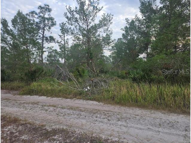 2217 Algonquin Drive Sebring FL 33875 P4938996 image3