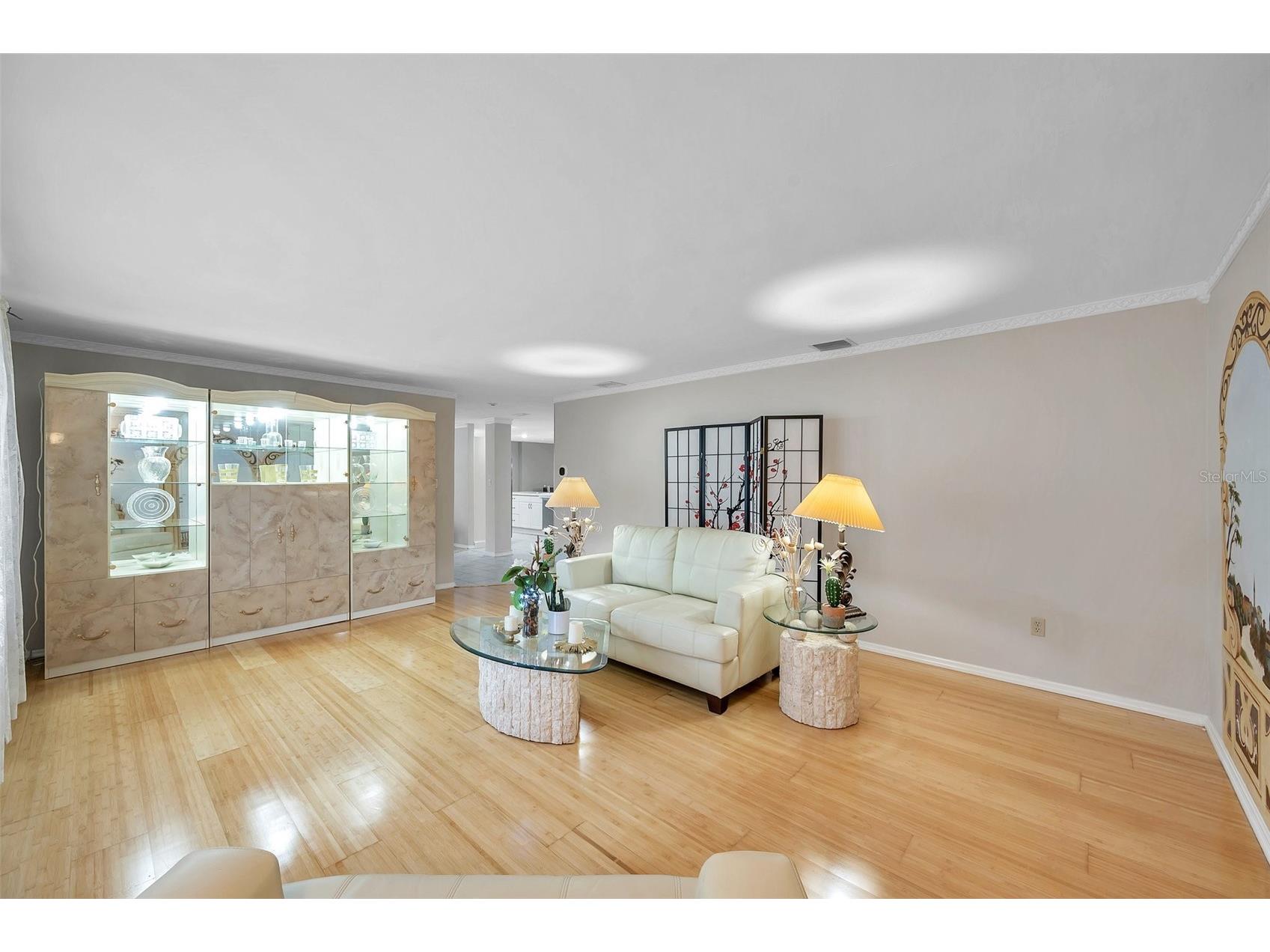 2217 Buena Vista Drive Clearwater FL 33764 A4679834 image3