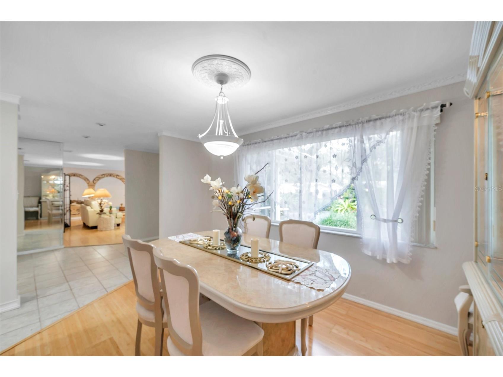 2217 Buena Vista Drive Clearwater FL 33764 A4679834 image4