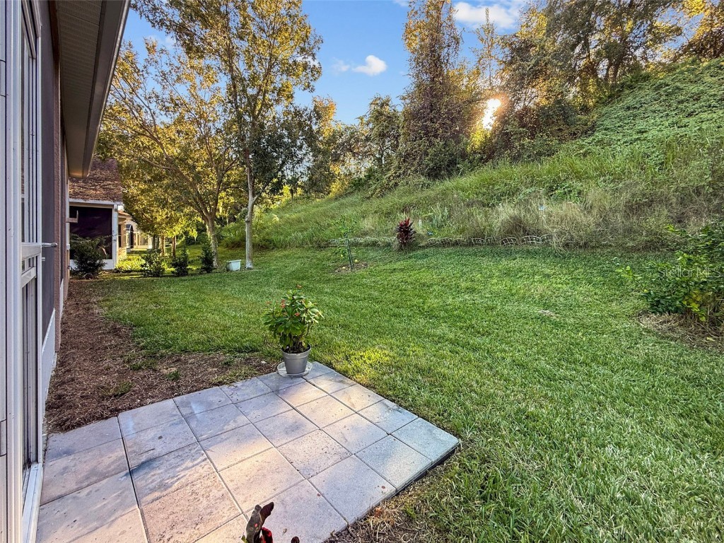 2217 Caledonian Street Clermont FL 34711 O6361119 image22