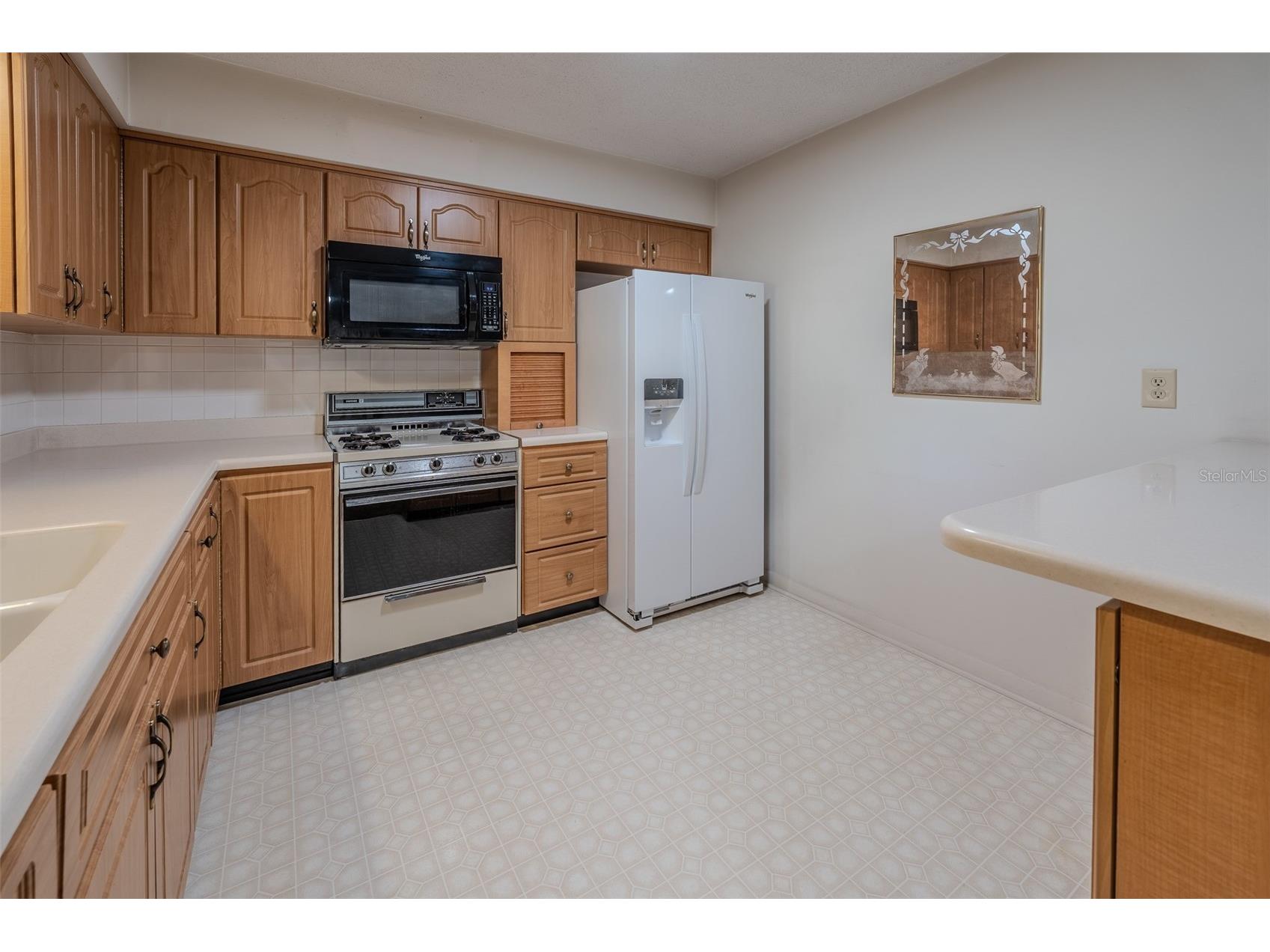 2217 NW 52 Street Ocala FL 34475 OM723850 image18