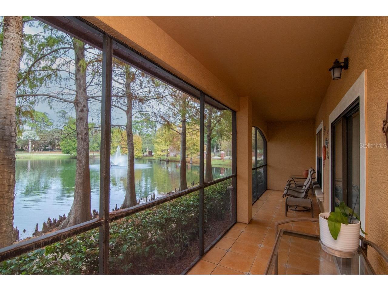 2217 Tuscany Trace #10 Palm Harbor FL 34683 TB8455511 image2