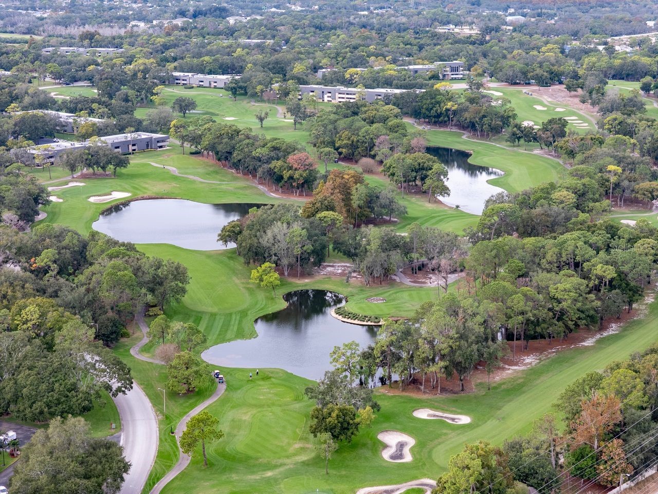 2217 Tuscany Trace #10 Palm Harbor FL 34683 TB8455511 image21