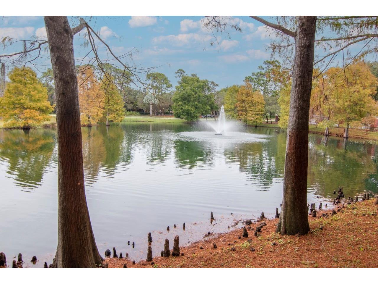 2217 Tuscany Trace #10 Palm Harbor FL 34683 TB8455511 image22