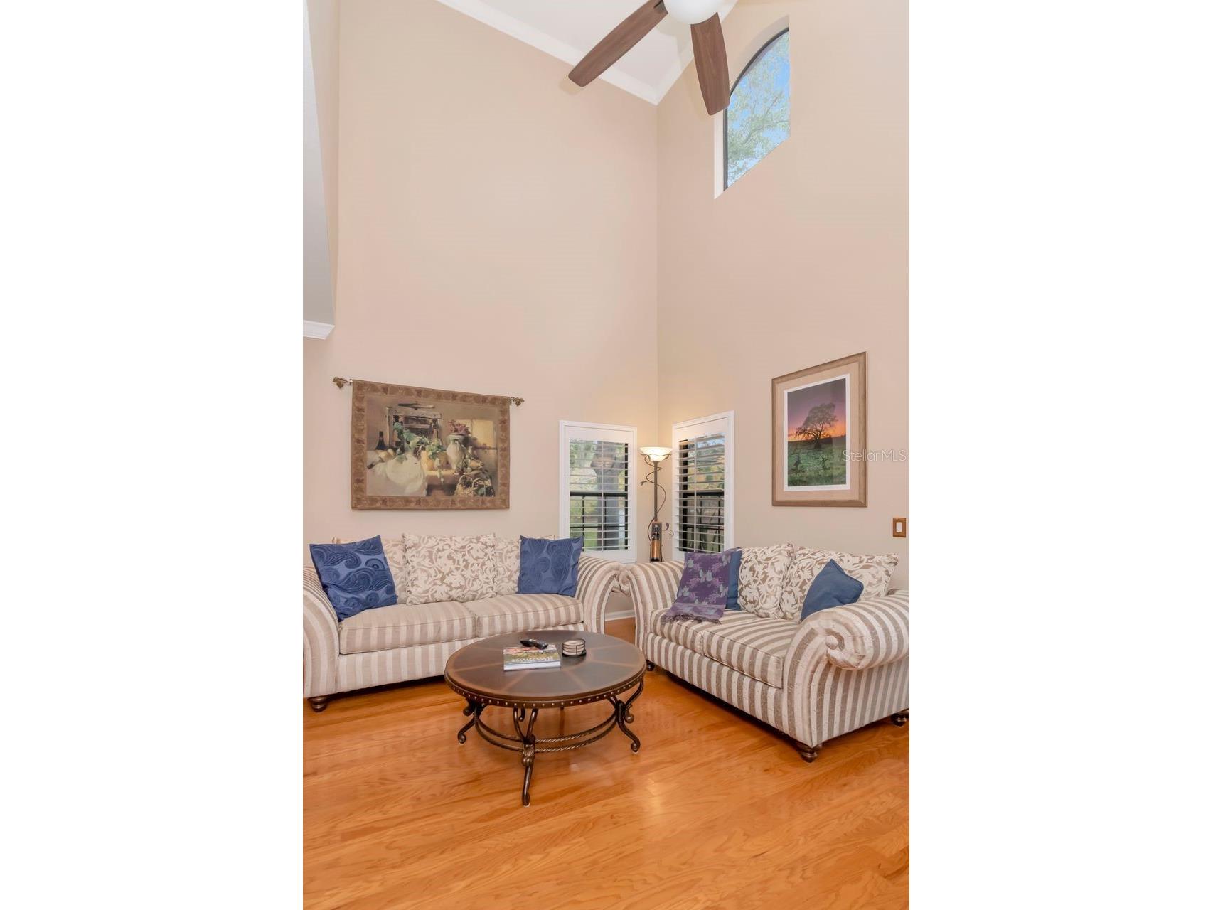 2217 Tuscany Trace #10 Palm Harbor FL 34683 TB8455511 image37