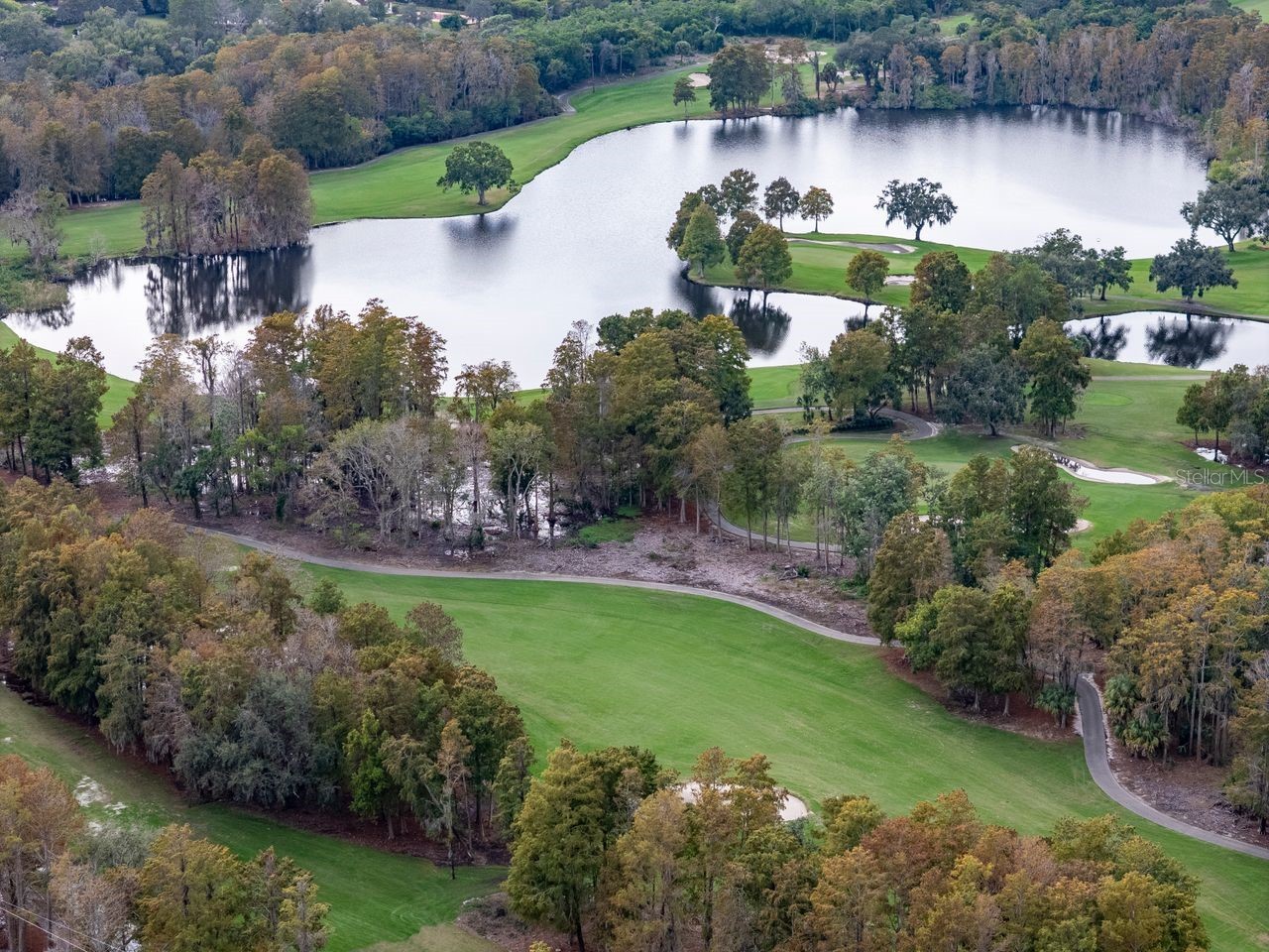 2217 Tuscany Trace #10 Palm Harbor FL 34683 TB8455511 image42