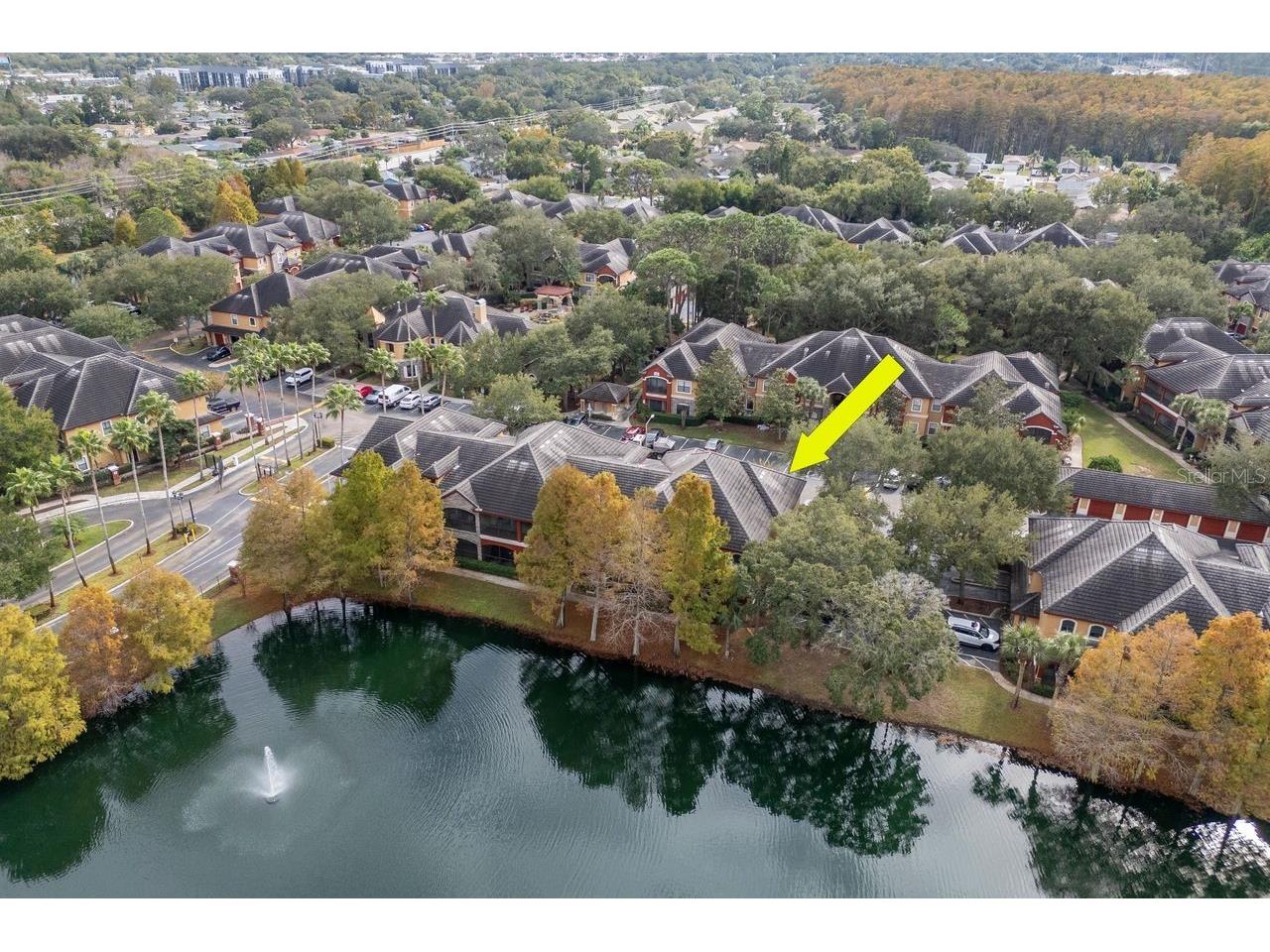 2217 Tuscany Trace #10 Palm Harbor FL 34683 TB8455511 image46