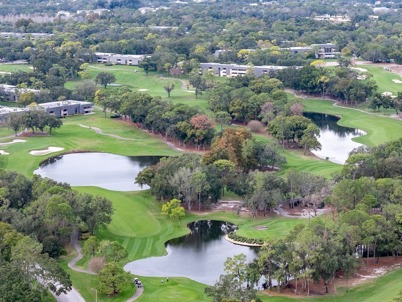 2217 Tuscany Trace #10 Palm Harbor FL 34683 TB8455511 image49