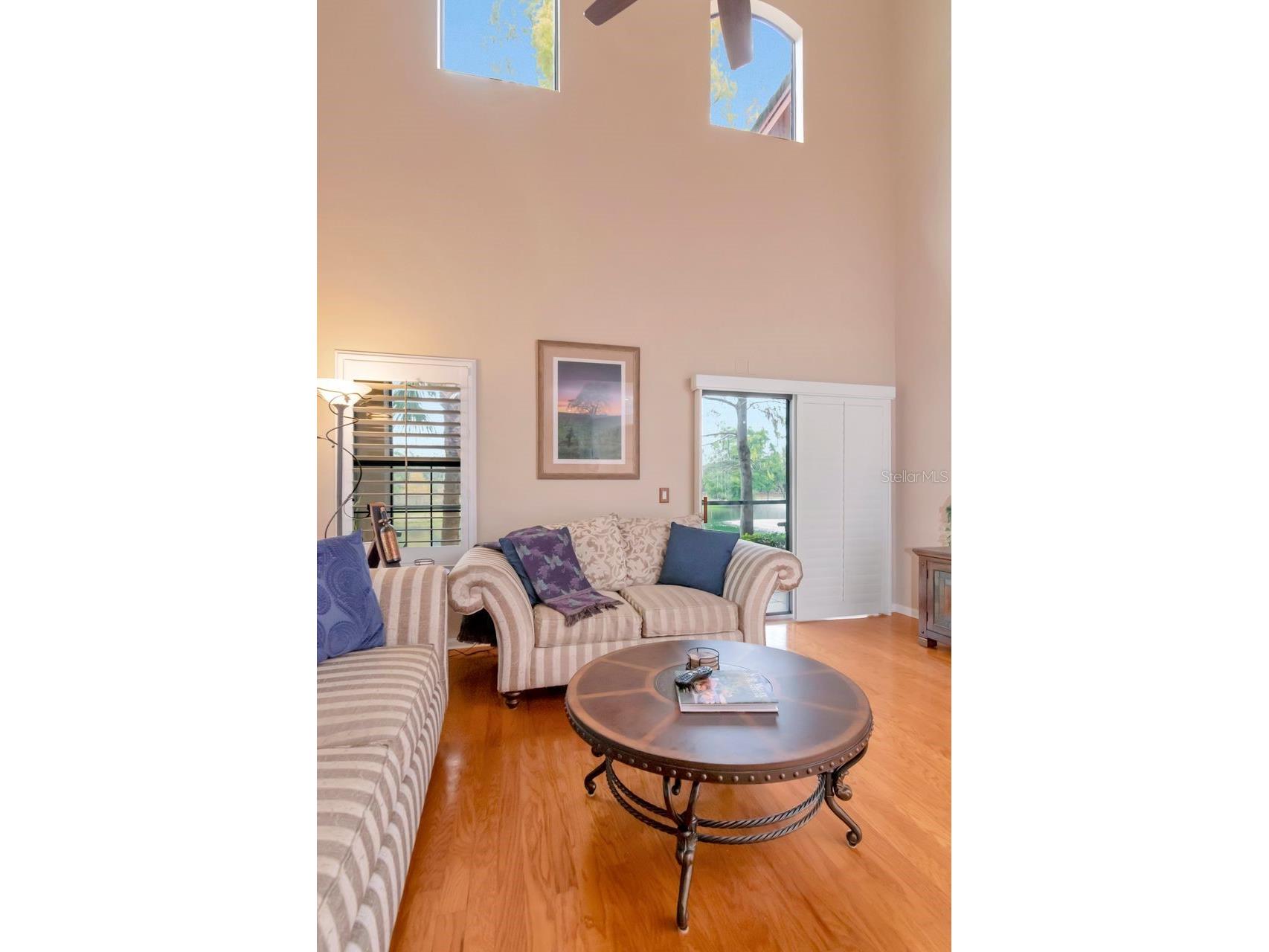 2217 Tuscany Trace #10 Palm Harbor FL 34683 TB8455511 image5