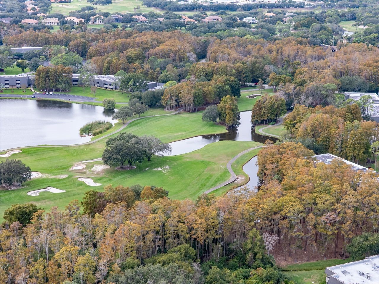 2217 Tuscany Trace #10 Palm Harbor FL 34683 TB8455511 image50