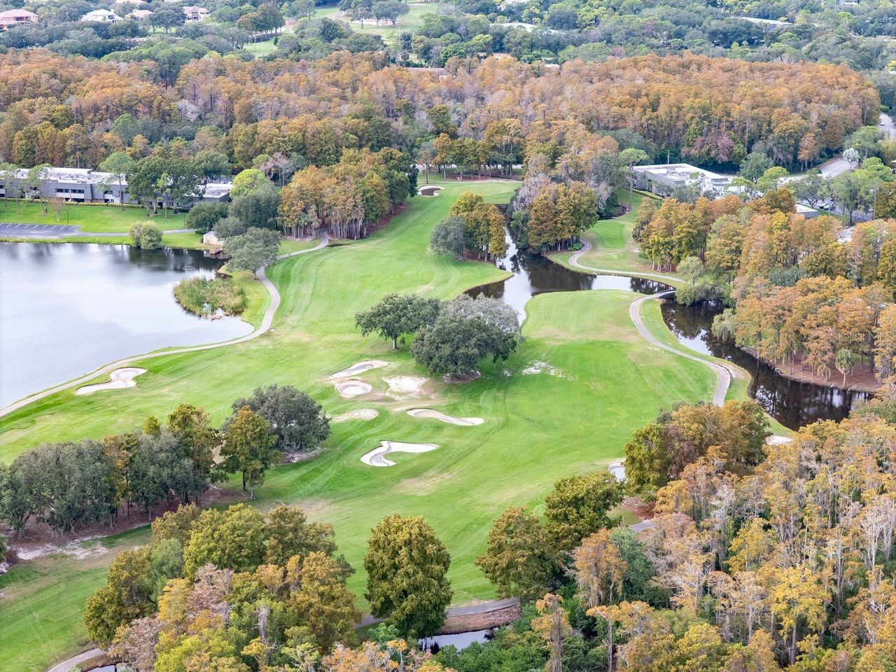 2217 Tuscany Trace #10 Palm Harbor FL 34683 TB8455511 image51
