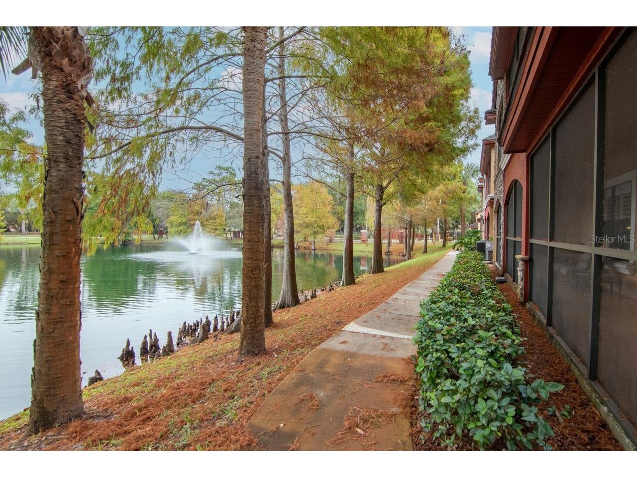 2217 Tuscany Trace #10 Palm Harbor FL 34683 TB8455511 image55