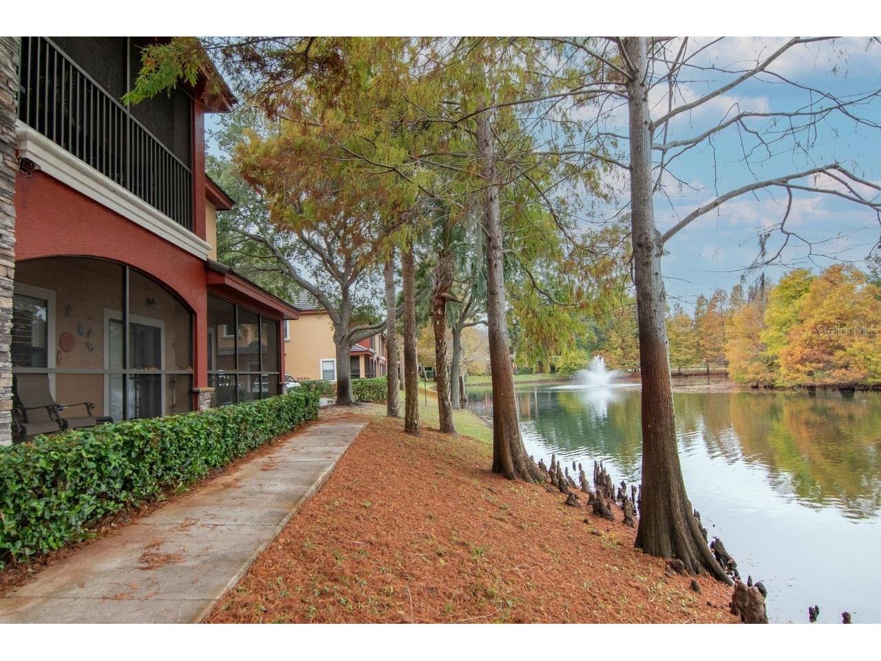 2217 Tuscany Trace #10 Palm Harbor FL 34683 TB8455511 image57