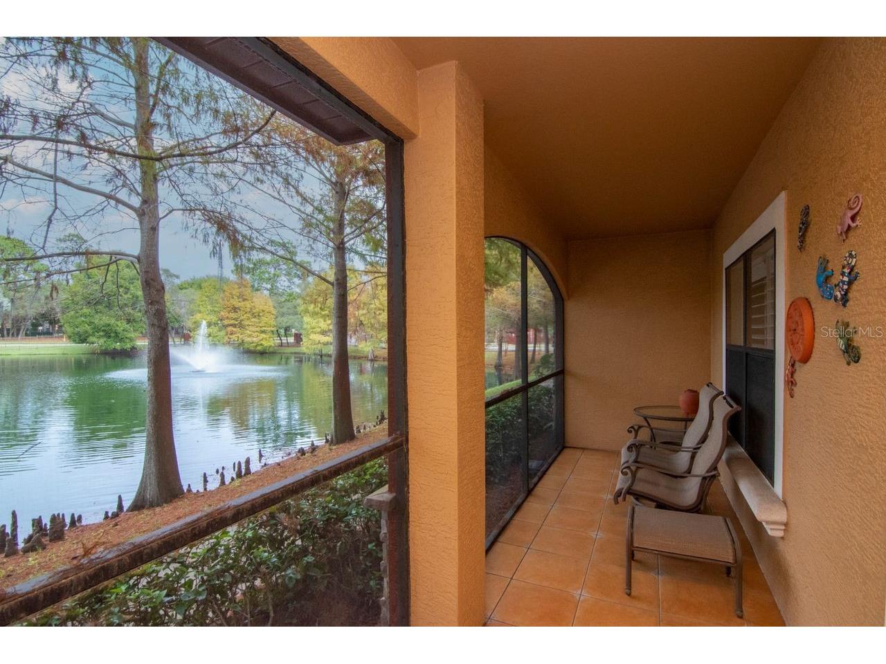 2217 Tuscany Trace #10 Palm Harbor FL 34683 TB8455511 image58
