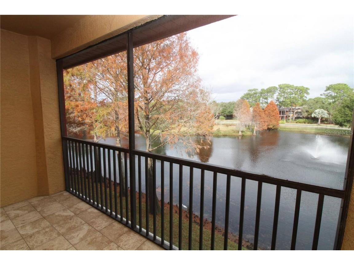 2217 Tuscany Trace #183 Palm Harbor FL 34683 TB8455165 image16