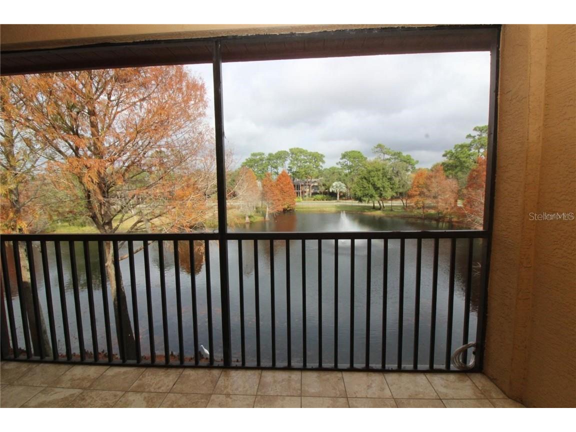 2217 Tuscany Trace #183 Palm Harbor FL 34683 TB8455165 image2