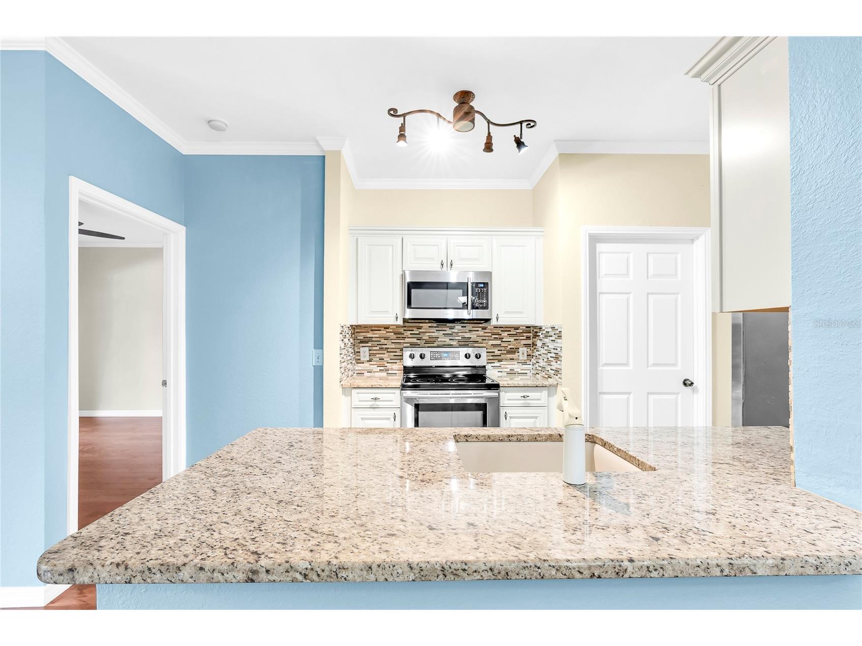2217 Tuscany Trace #188 Palm Harbor FL 34683 TB8500274 image12