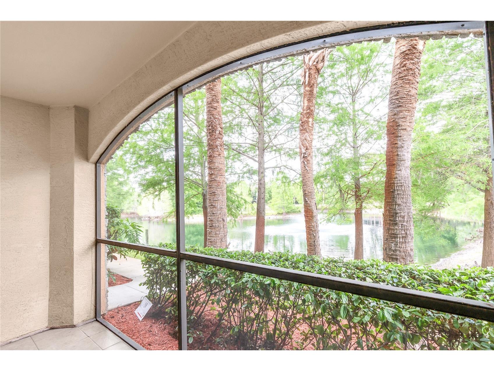 2217 Tuscany Trace #188 Palm Harbor FL 34683 TB8500274 image22