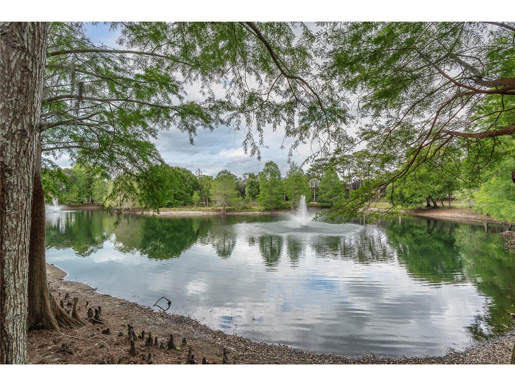 2217 Tuscany Trace #188 Palm Harbor FL 34683 TB8500274 image26