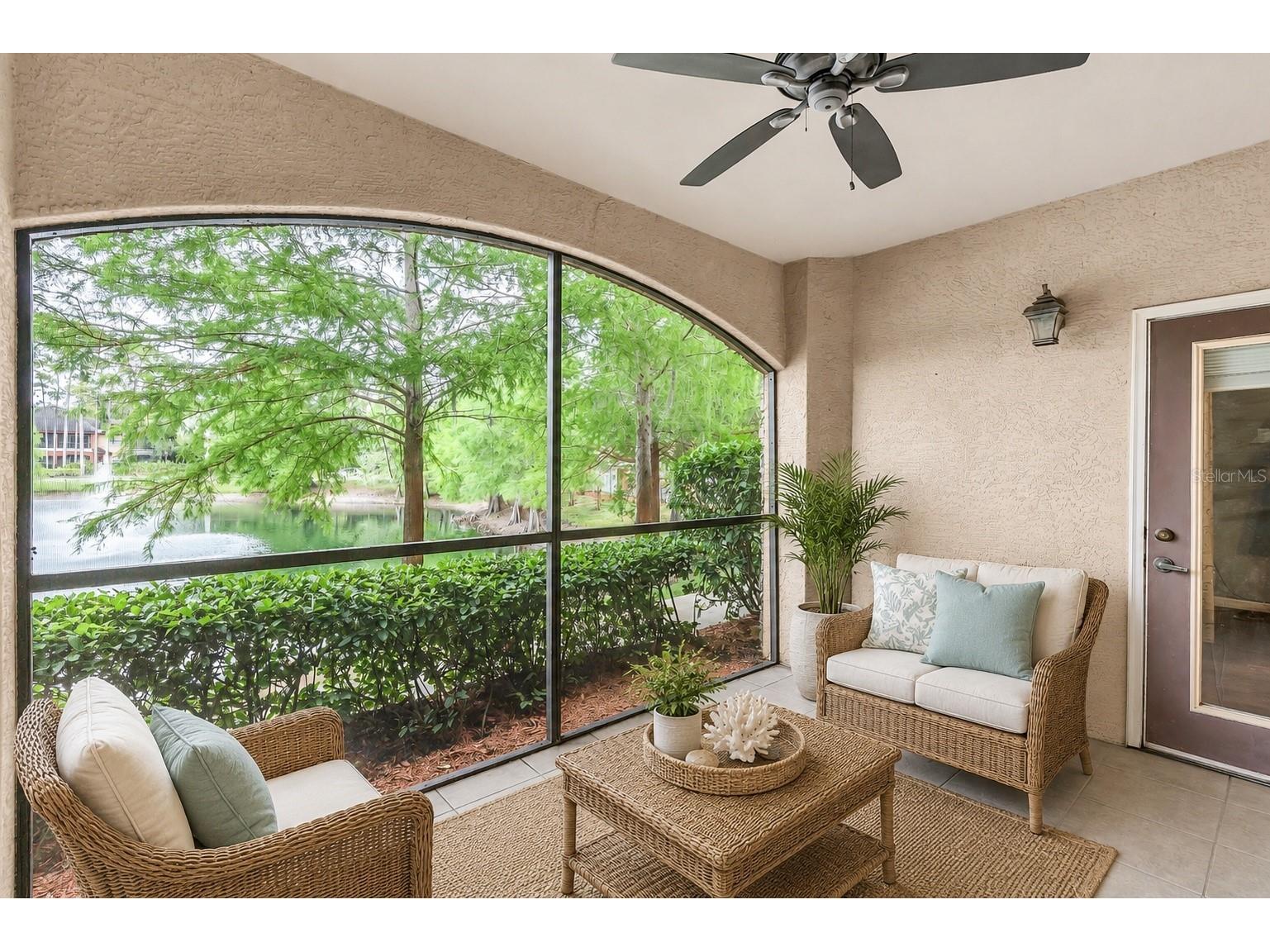 2217 Tuscany Trace #188 Palm Harbor FL 34683 TB8500274 image3