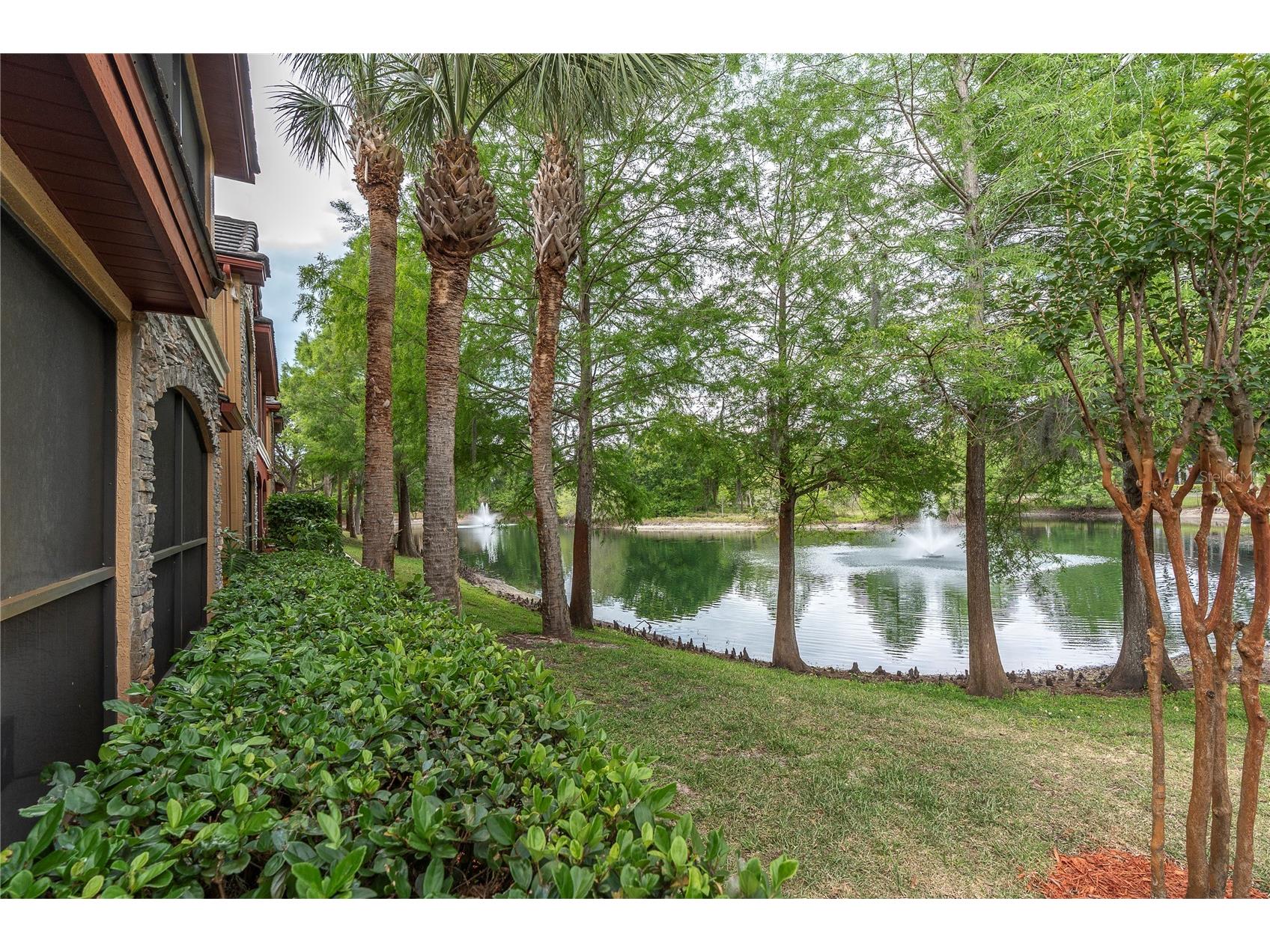 2217 Tuscany Trace #188 Palm Harbor FL 34683 TB8500274 image4