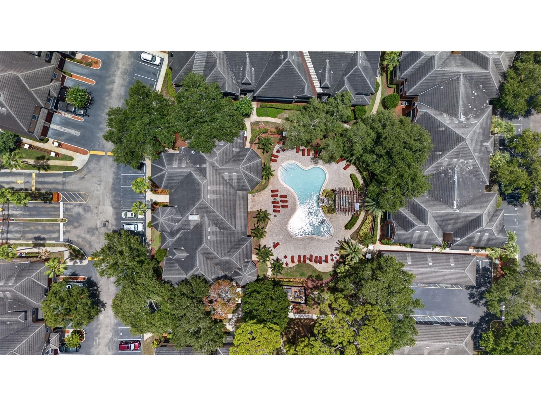 2217 Tuscany Trace #7 Palm Harbor FL 34683 TB8526469 image34