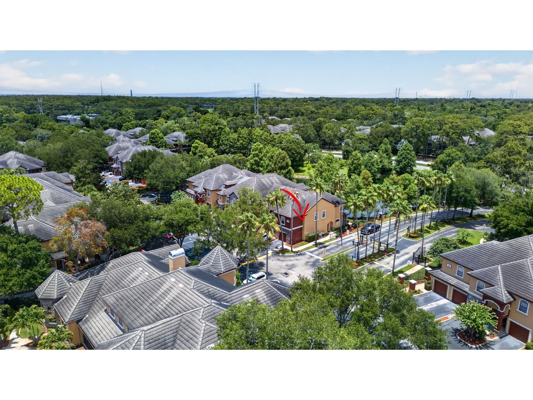 2217 Tuscany Trace #7 Palm Harbor FL 34683 TB8526469 image37