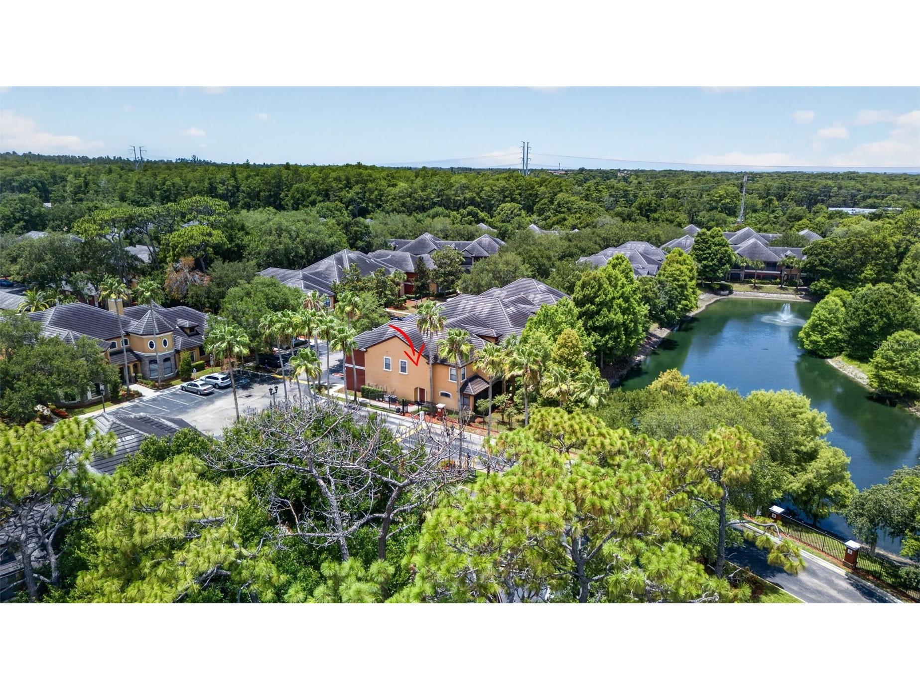2217 Tuscany Trace #7 Palm Harbor FL 34683 TB8526469 image38
