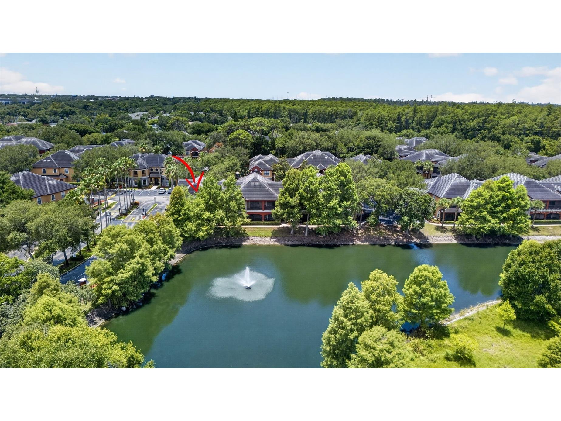 2217 Tuscany Trace #7 Palm Harbor FL 34683 TB8526469 image39