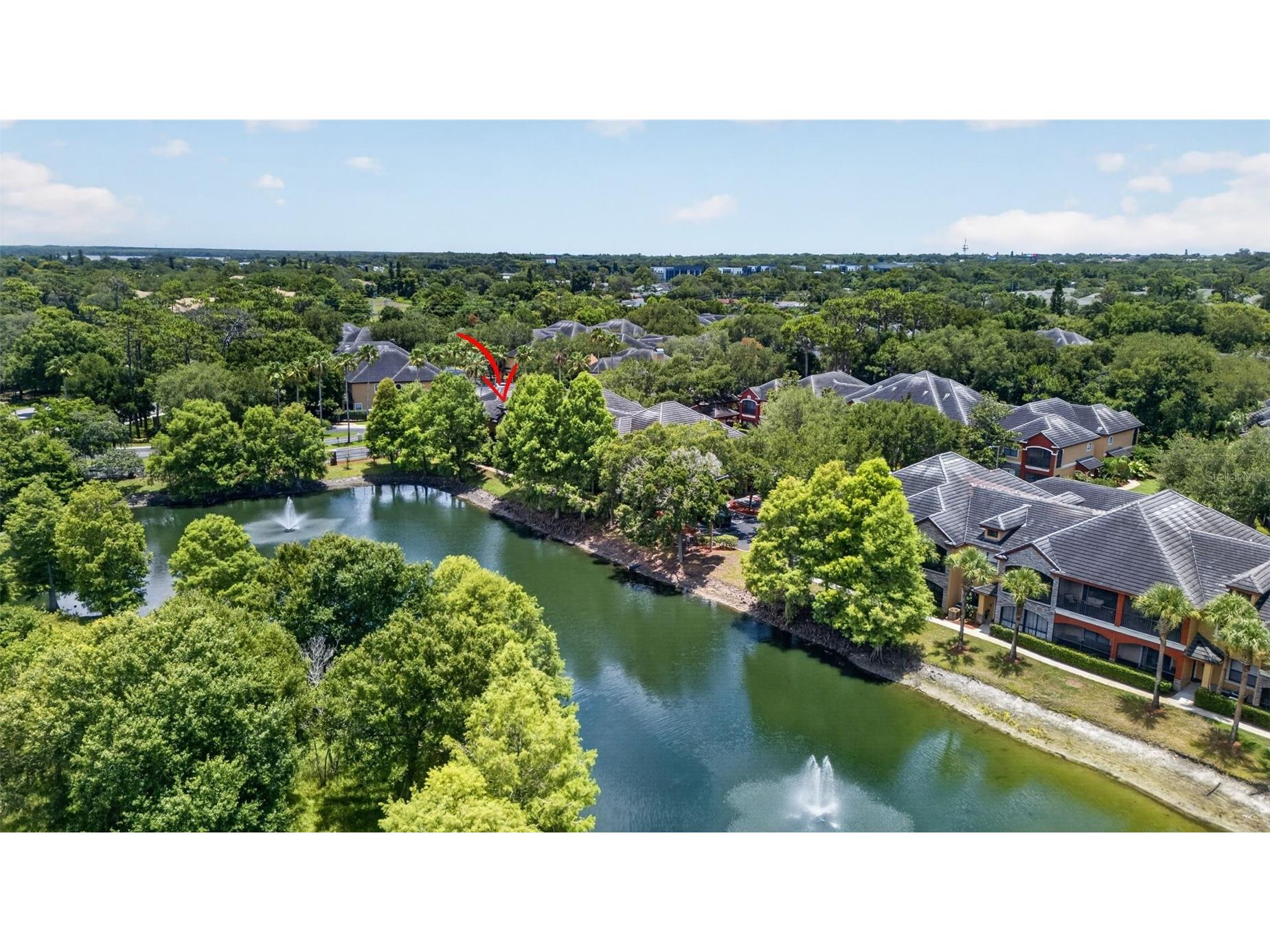 2217 Tuscany Trace #7 Palm Harbor FL 34683 TB8526469 image40