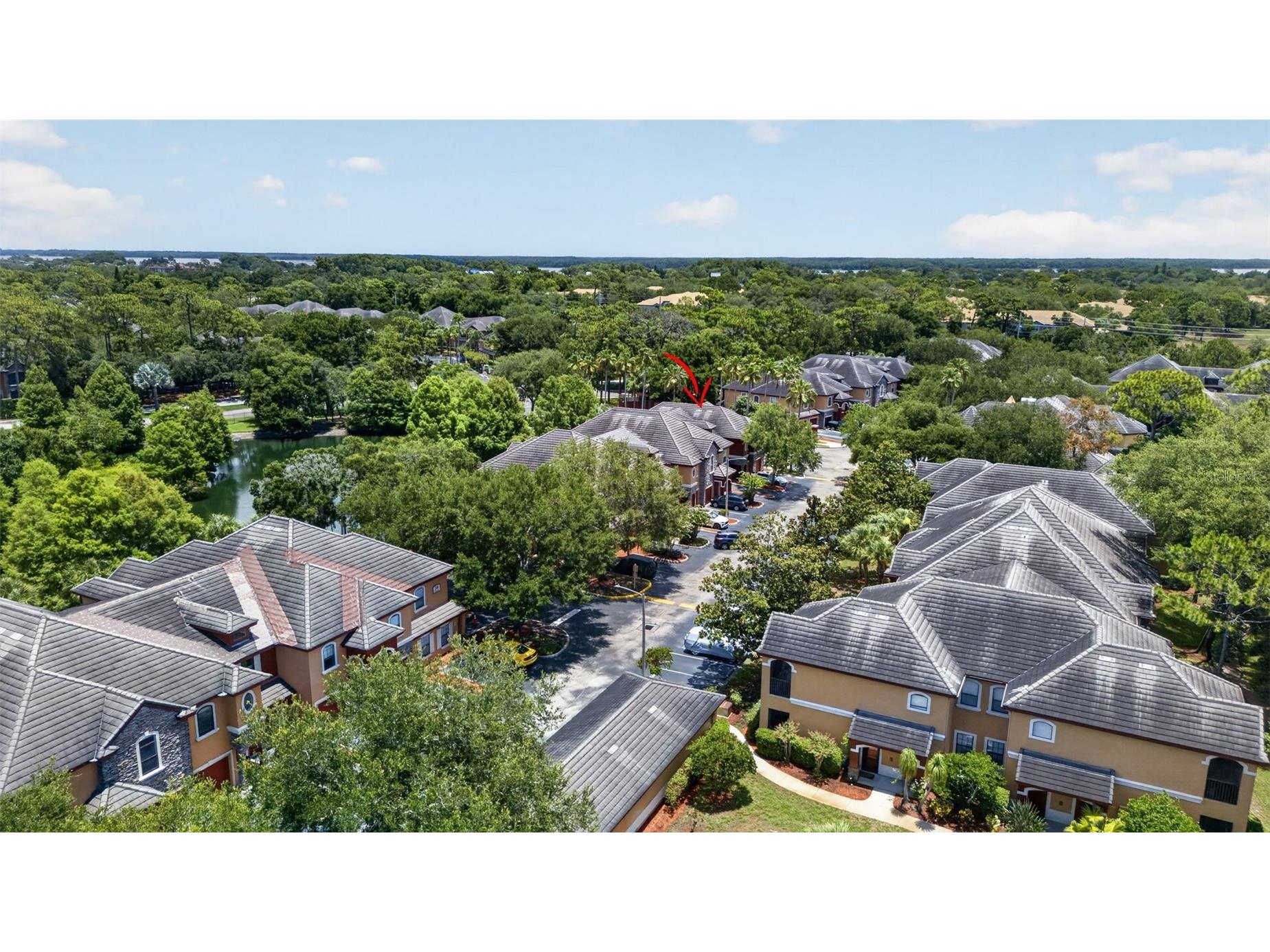 2217 Tuscany Trace #7 Palm Harbor FL 34683 TB8526469 image41
