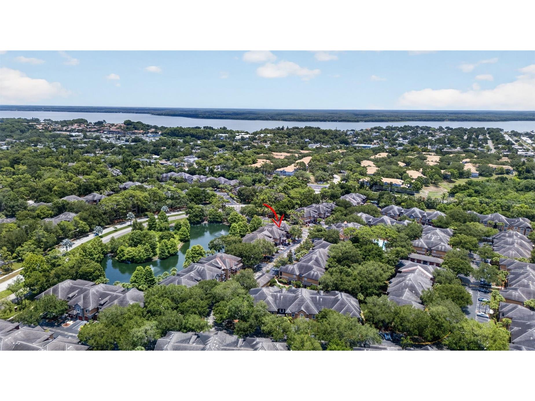 2217 Tuscany Trace #7 Palm Harbor FL 34683 TB8526469 image42