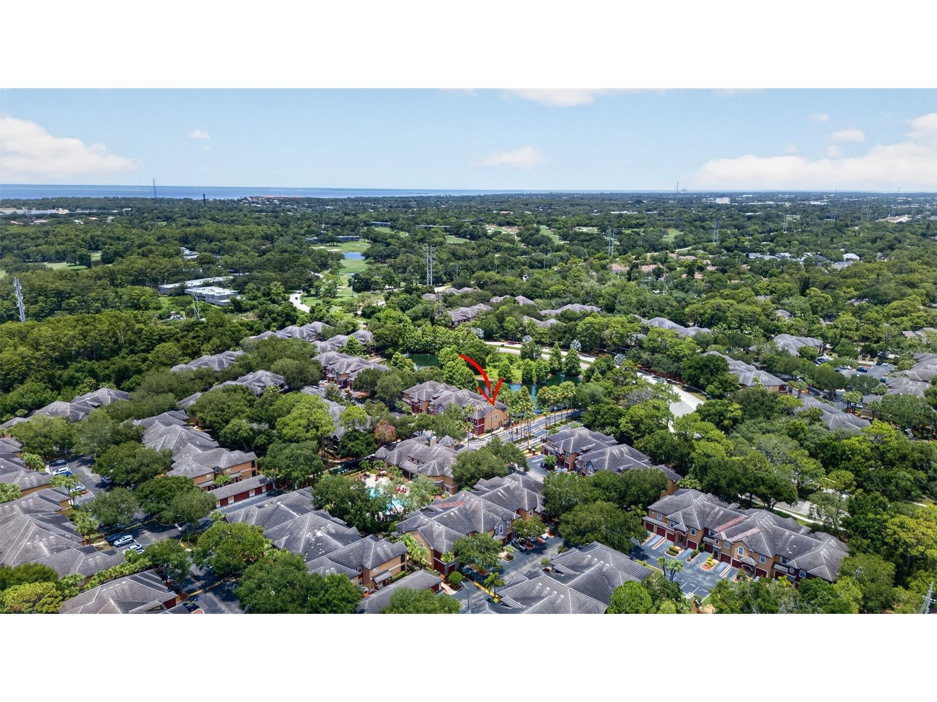 2217 Tuscany Trace #7 Palm Harbor FL 34683 TB8526469 image44