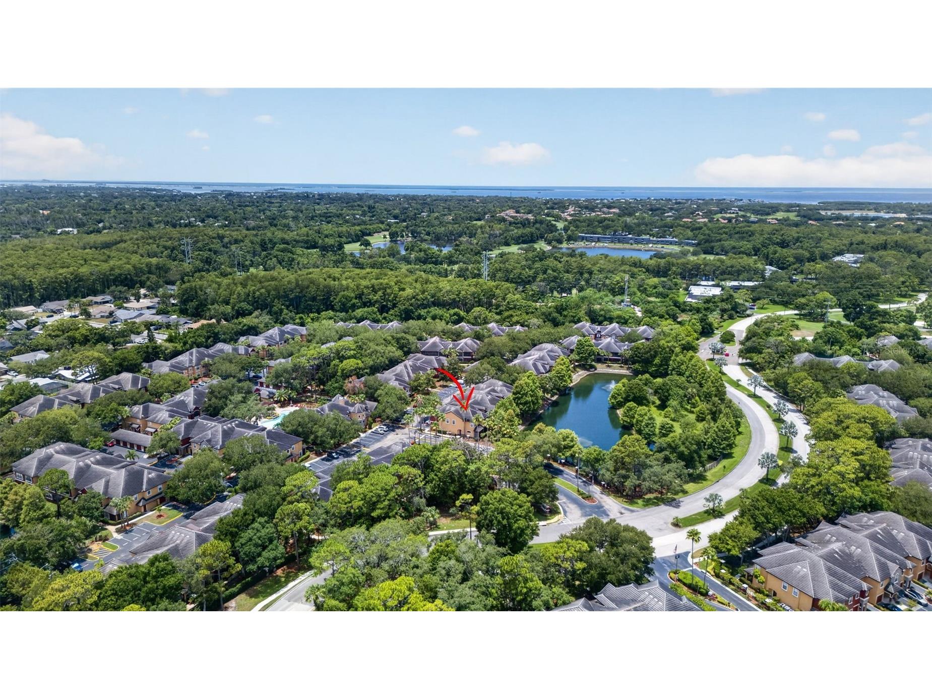 2217 Tuscany Trace #7 Palm Harbor FL 34683 TB8526469 image45