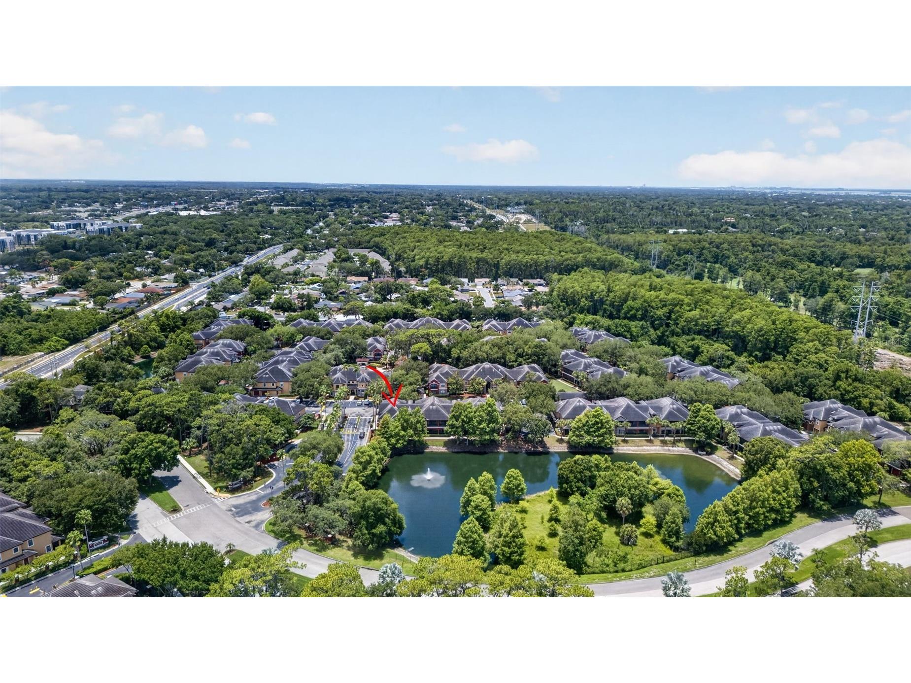 2217 Tuscany Trace #7 Palm Harbor FL 34683 TB8526469 image46