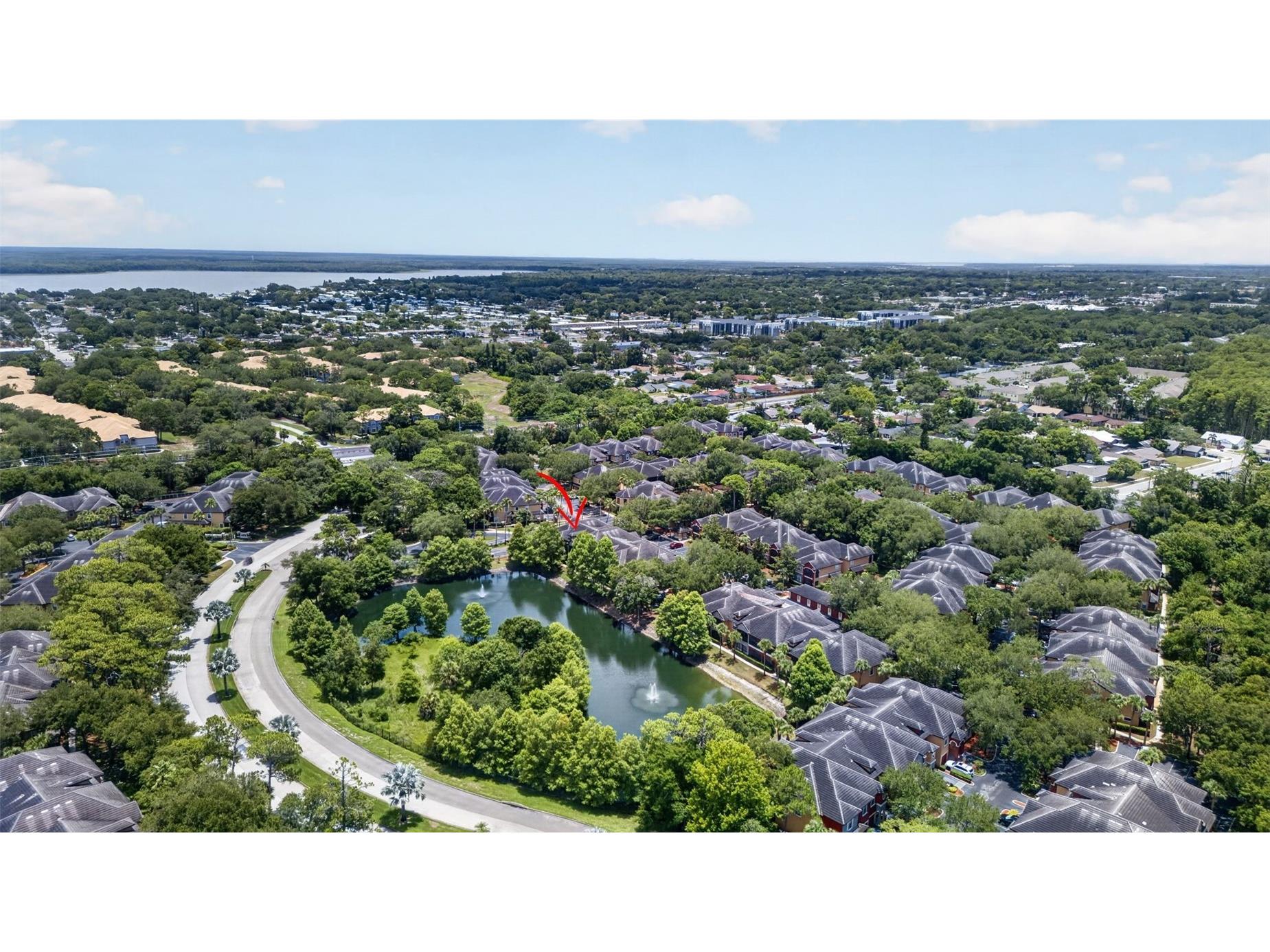 2217 Tuscany Trace #7 Palm Harbor FL 34683 TB8526469 image47
