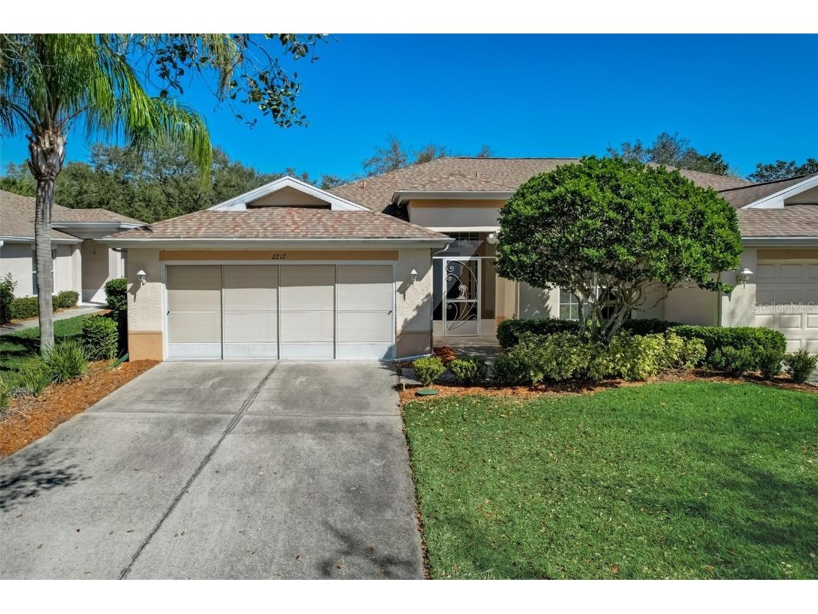 2217 Worthington Greens Drive Sun City Center FL 33573 T3507450 image1
