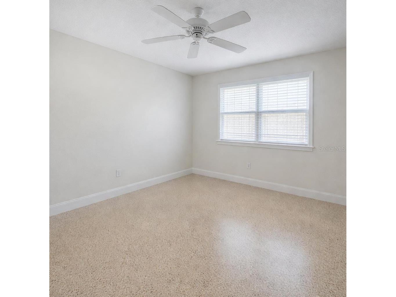 2218 8th Avenue SW Largo FL 33770 O6381588 image19