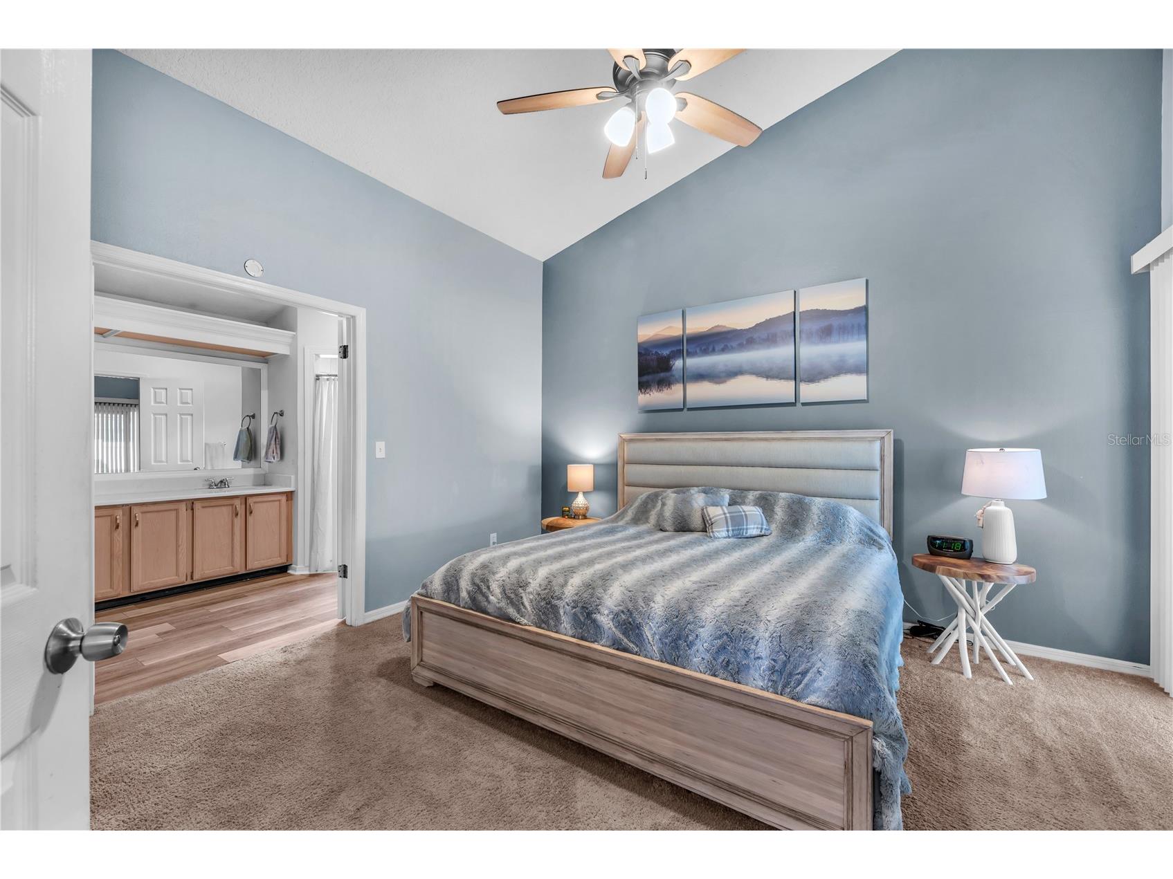 2218 Cattleman Drive Brandon FL 33511 TB8499776 image10